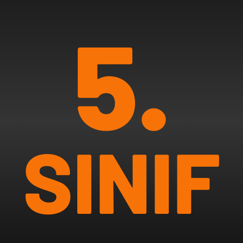 5-sinif